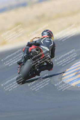 media/May-13-2023-SoCal Trackdays (Sat) [[8a473a8fd1]]/Turn 11 Backside (945am)/